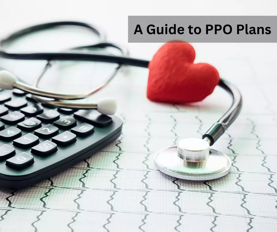Benefits 101: A Guide to PPO Plans